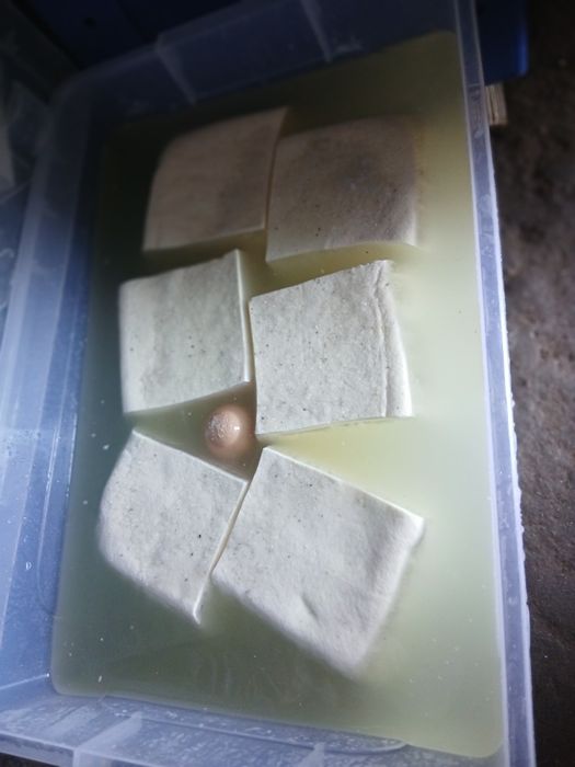 Telemea de vaca vanzare