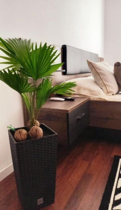 Regim Hotelier 2-3ore/noapte/perioada mai lunga