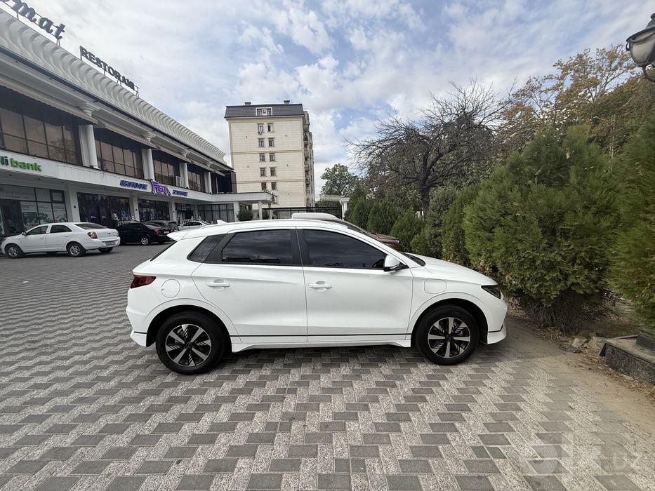 Byd E 2 kraska toza