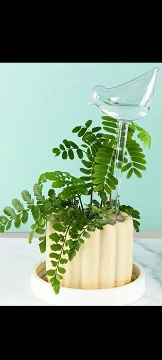 Автополив домашних растений