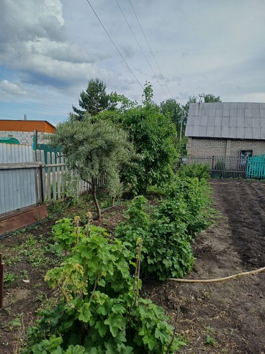 Продам Дачу Гудок (Эврика) за рабочим поселком