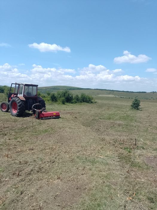 Curățare defrișare teren