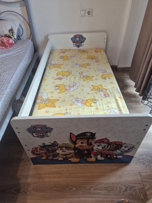 Patut copii patrula cățelușilor