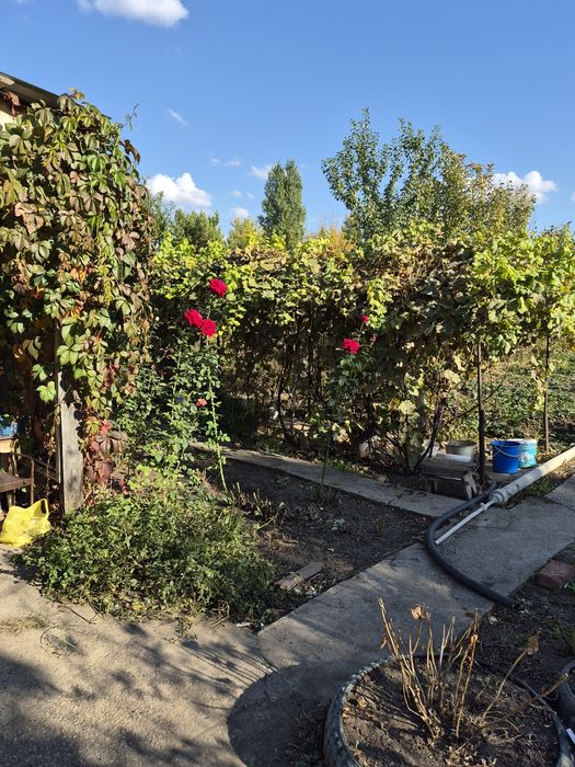 Продам дачу в райне зеленной долины