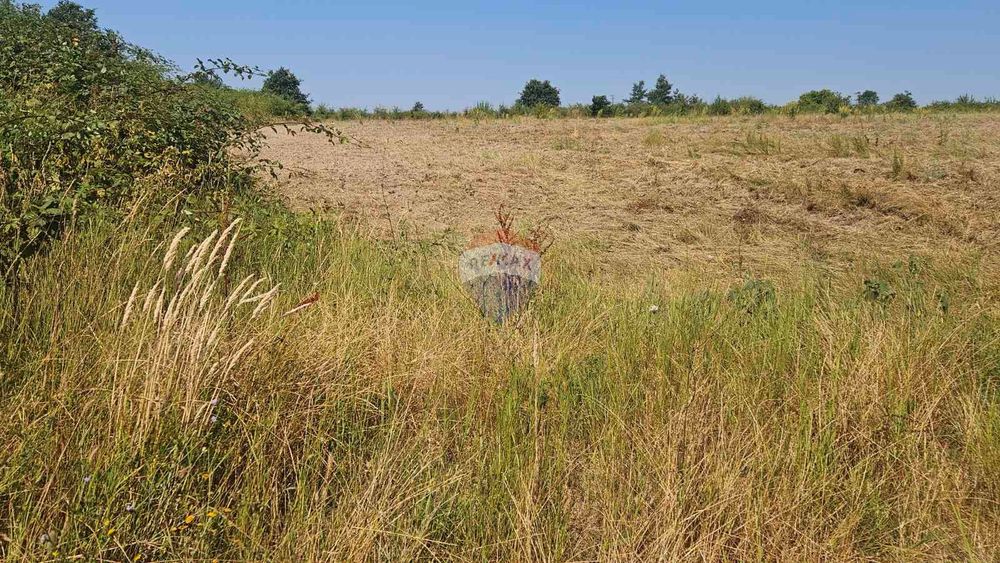 Продава се Парцел в с. Близнаци, Област Варна - 6900 кв.м за 44 €/кв.м - Снимка #4