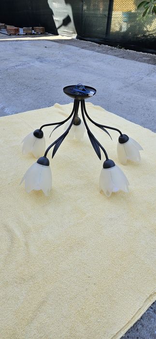 Полилей - с пет крушки