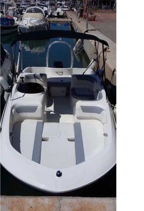Ambarcatiune Bayliner Element E16 cu peridoc