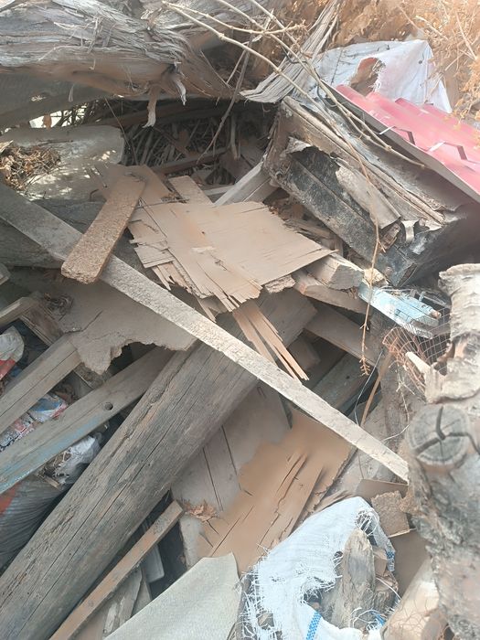 Утинлик калама урик дарахти бир мошин