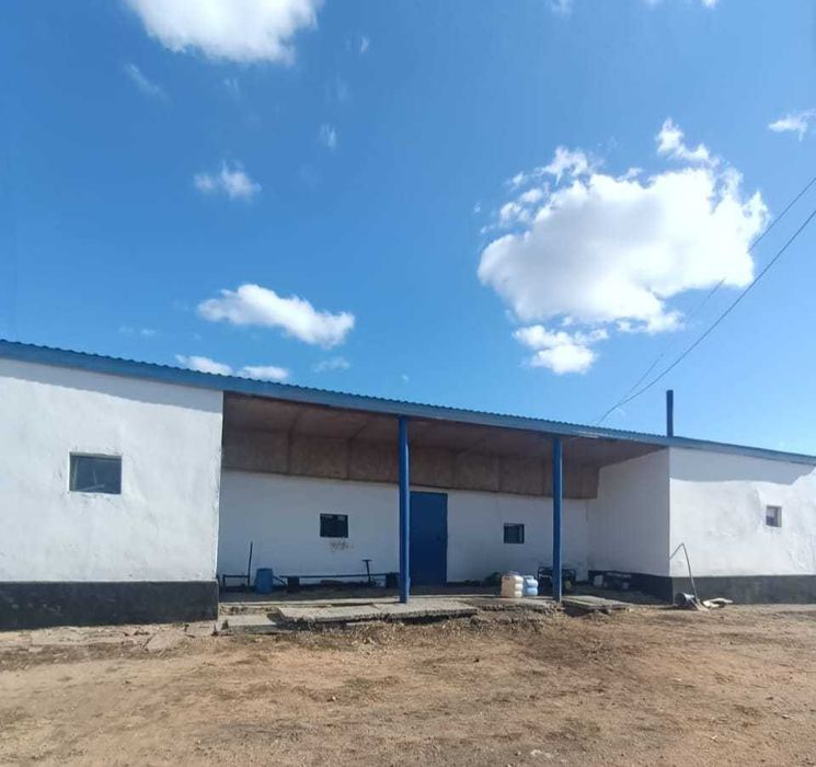 Продается действующее фермерское хозяйство