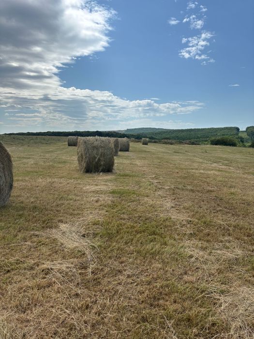 Baloți mari rotunzi amestec ierburi perene