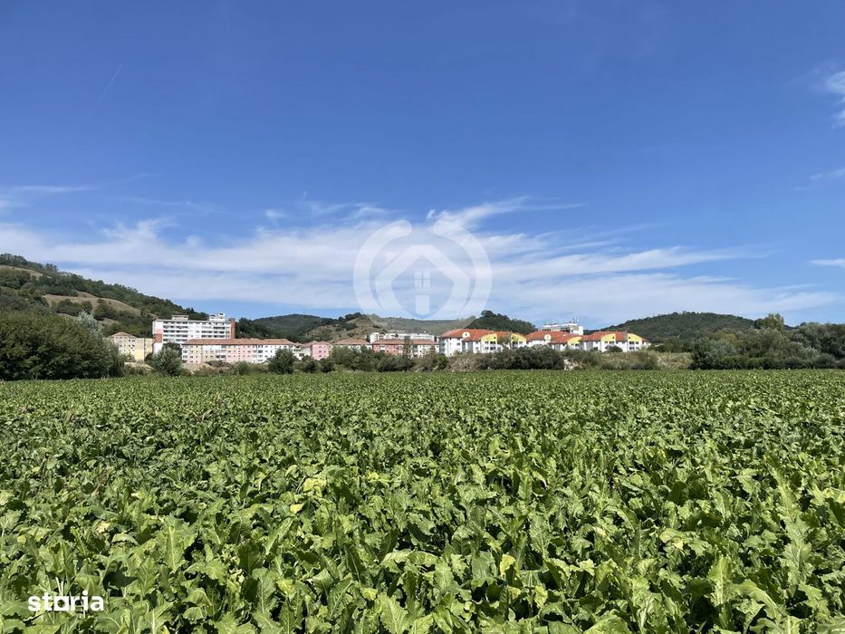 Teren intravilan Medias | 13700 mp | Deschidere 242 ml la drum public