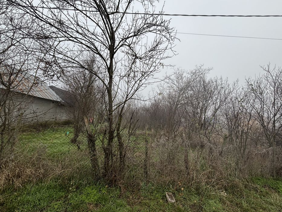 Teren vanzare + constructie / 2499 mp / electricitate+apa