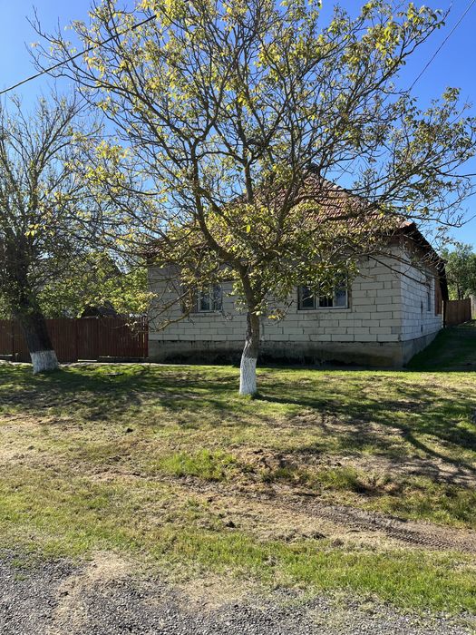 Vând casă în localitatea Paniova