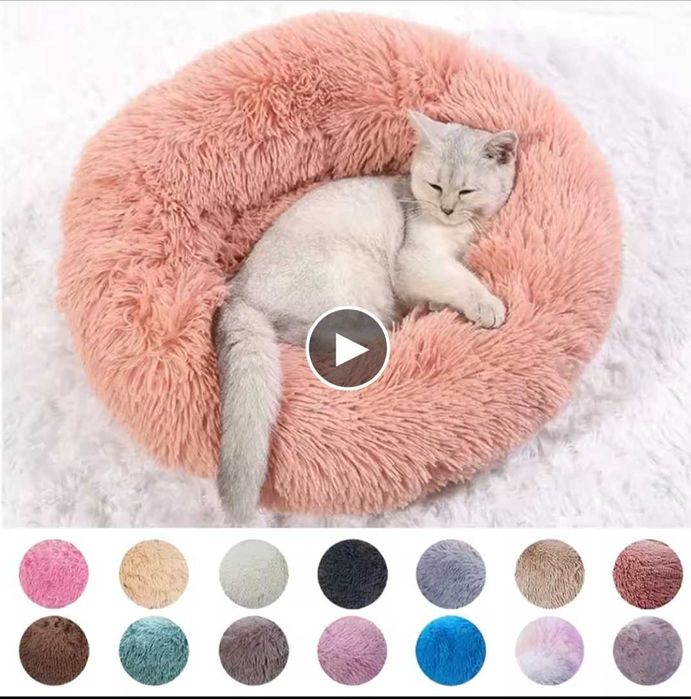 Легло за коте или мини порода куче