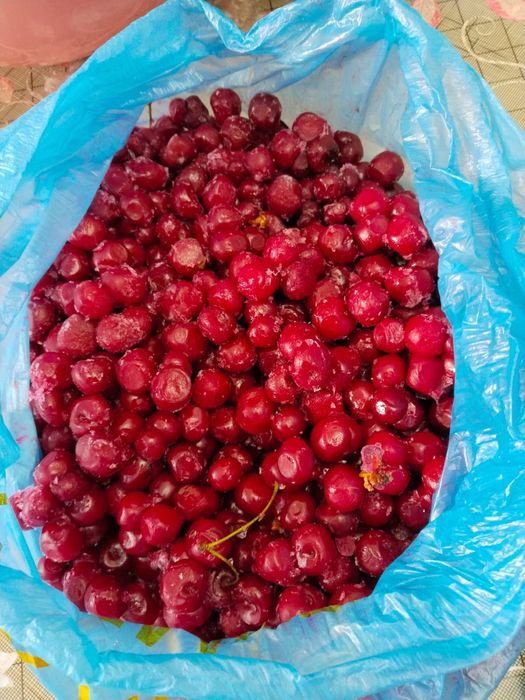 Продам замороженную вишню