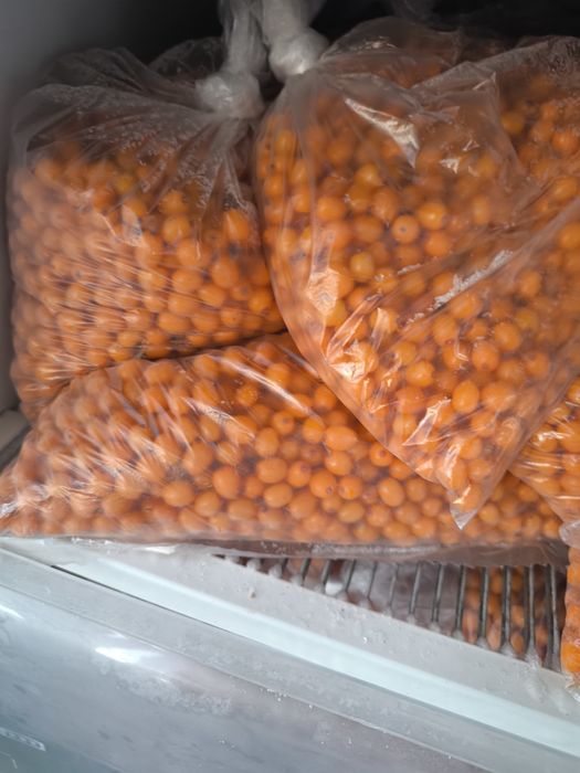 Продам облепиху свежемороженную