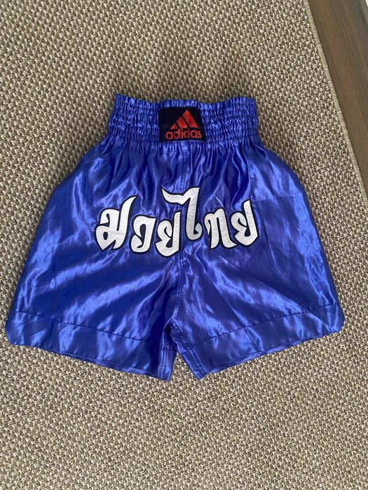 Боксерские перчатки , шлем