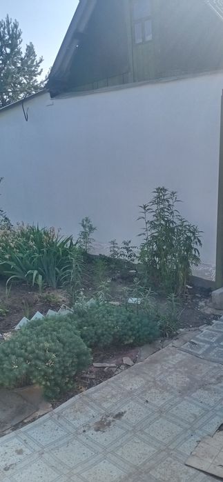 Продам дачу рядом с городом.