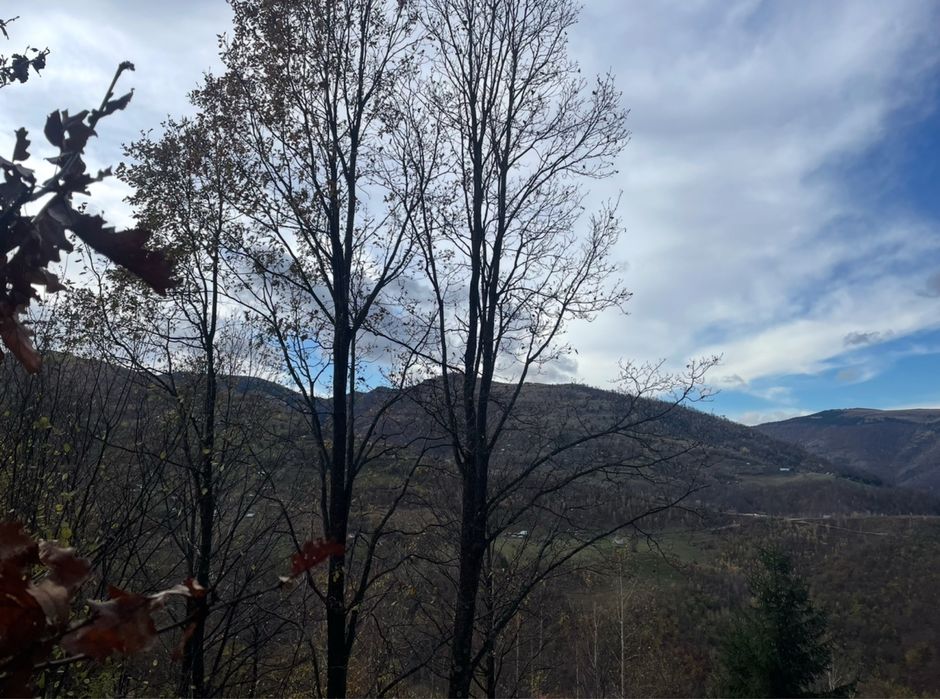 Teren Intravilan 1415 mp, Muntele rece, accept plata 2 rate, pt cabana