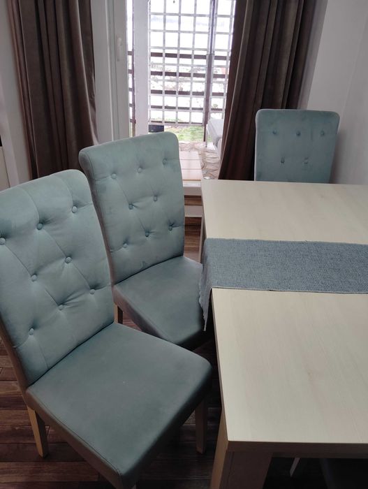 4  sau 6 Scaune living catifea impermeabile, picioare lemn masiv fag