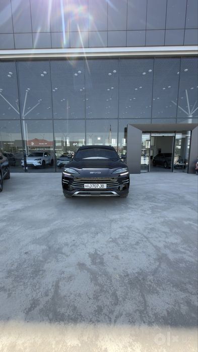 Byd song plus champion