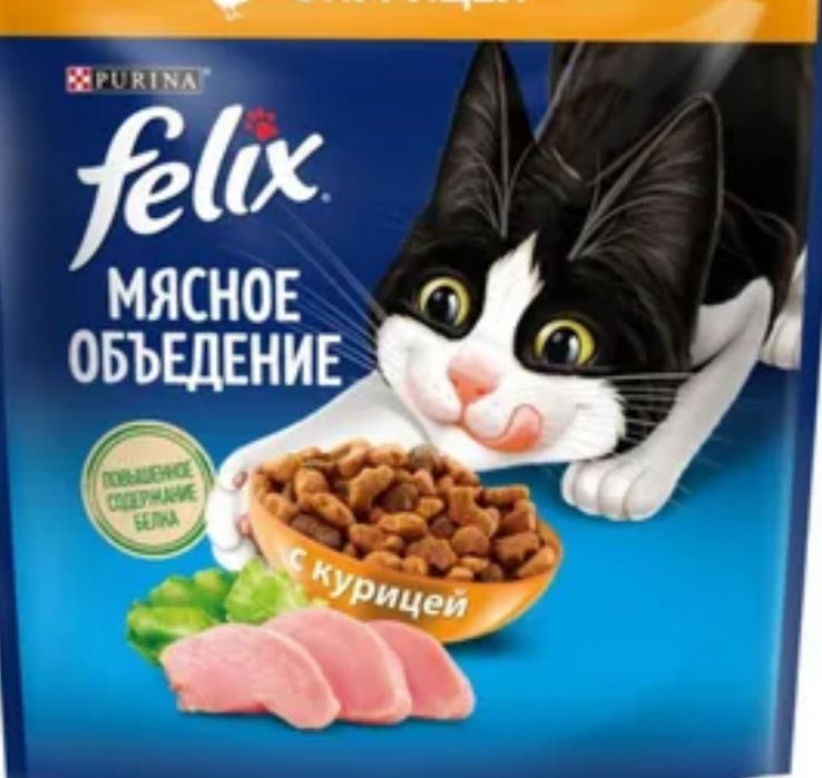 Кот Феликс уволен с работы.