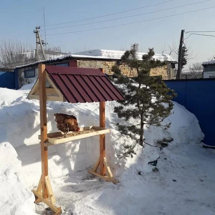 Кормушки для птиц