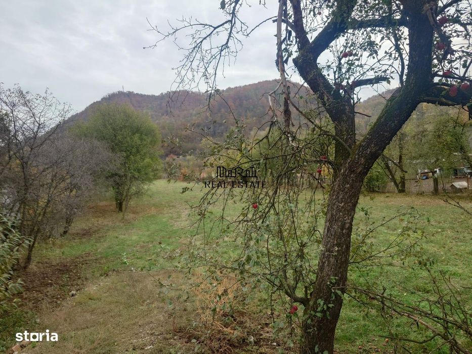 Teren intravilan 2500mp Criscior