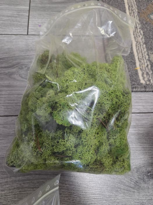 Vand 5 pungi de licheni stabilizati