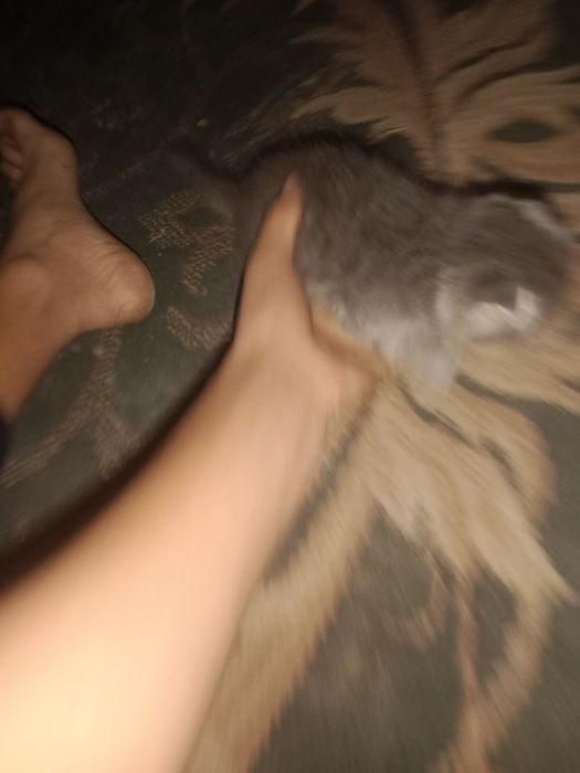 Абмен бар келіп көріңіздер