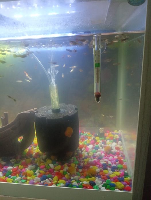Новый уютный аквариум