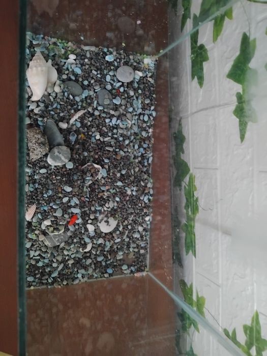 Срочно Аквариум 20 литровый