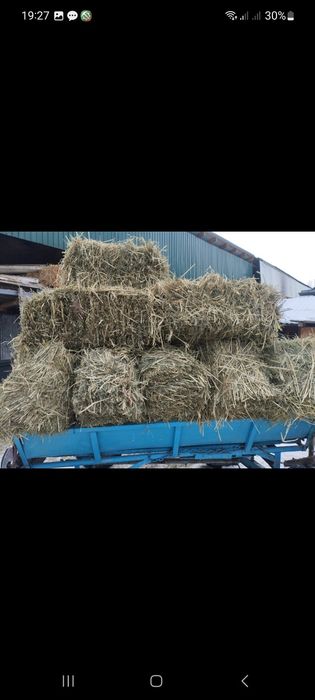 Сено разнотравия