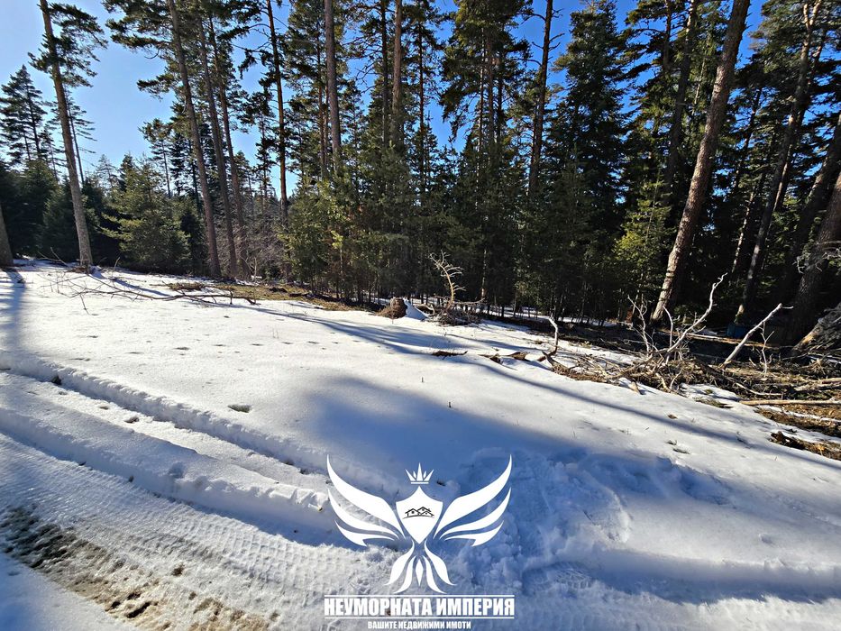 Продава се Парцел в с. Добралък, Област Пловдив - 192 кв.м за 69 €/кв.м - Снимка #9