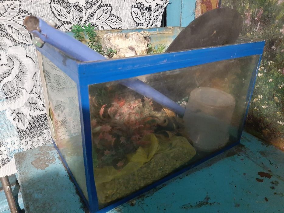 Аквариумы разные