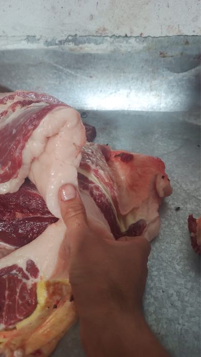 Жылқы еті , Соғым , Жілікте , Конина ,  Мясо, Байтал