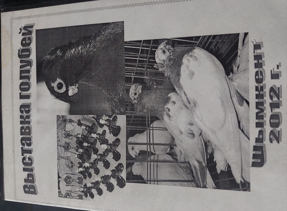 Голуби , книги  всё  про голубей,содержание, разведение,