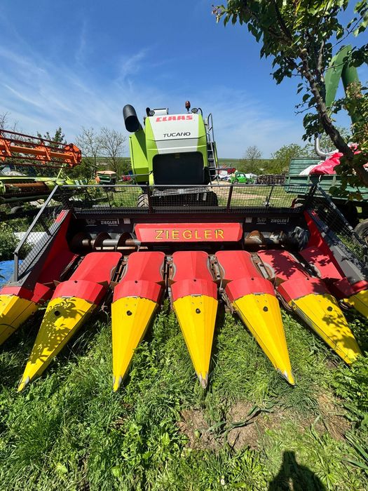Heder/culegator porumb ZIEGLER Corn Champion II 6/70cm, kit floare, an 2022, combină CLAAS - second hand