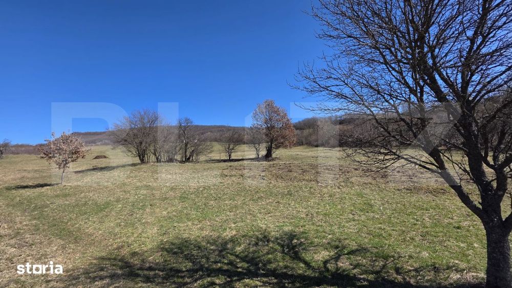 Teren de vanzare de 8,567MP in zona: Tarpiului