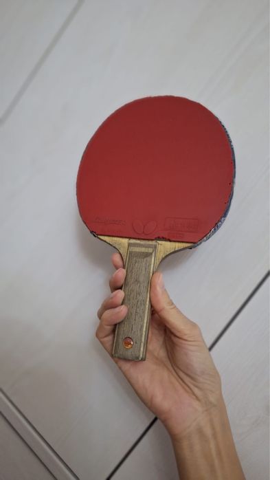 Профессиональная ракетка (Япония)