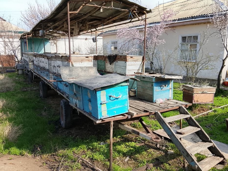 Пасека. Пчеловодный прицепы