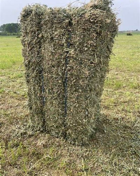 Baloti lucernă și  fân  2025