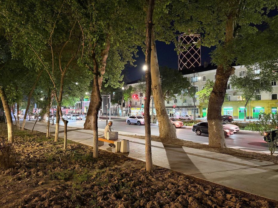 Шота Руставелли/1 линия/Шоу-рум/Офис/Бутик/Магазин/Авиакасса/250м2