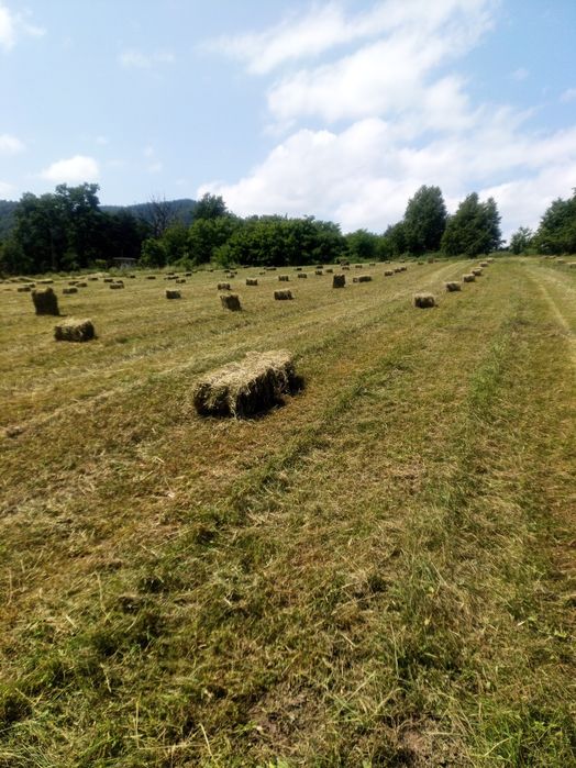 Vând baloți de fan