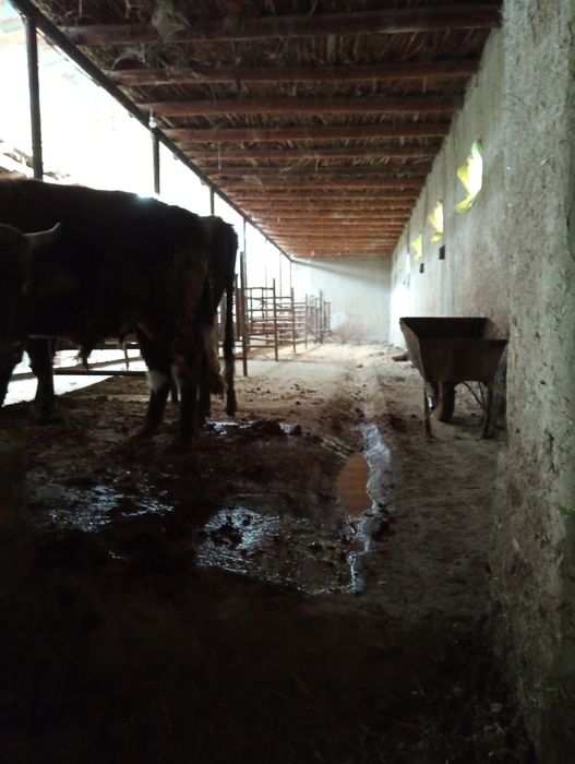 Участка сотилади