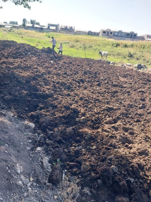 Biogumus optom yillik ogit sifati zor