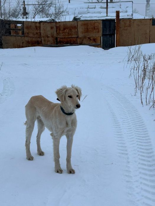 продам кабеля тазы