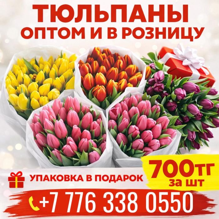 Голландские Тюльпаны местного происхождения