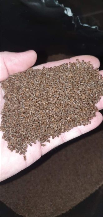 Nada faina de peste pelete crap