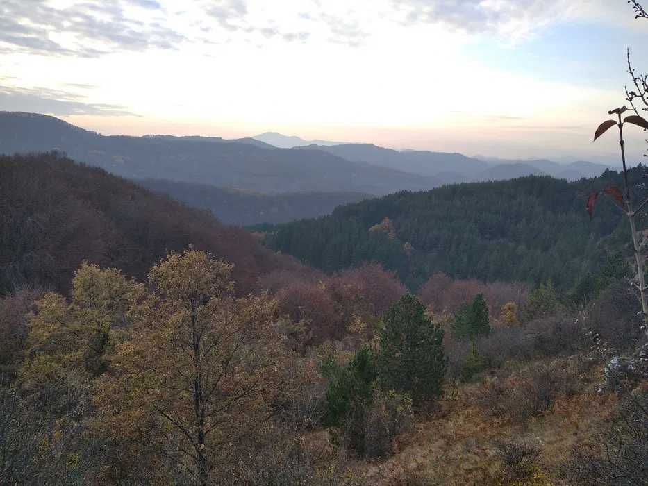 Продава се Къща в Драгоман - 30 кв.м за 952 €/кв.м - Снимка #21